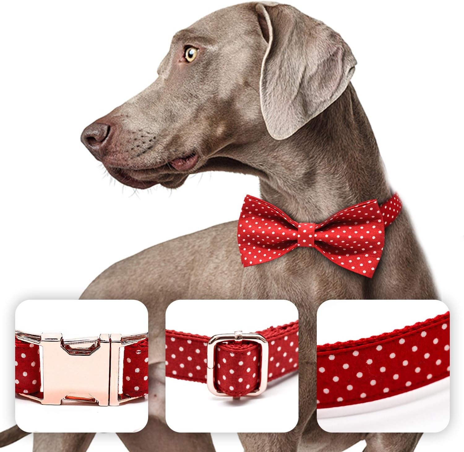 Dog Bowtie Collars Personalized Metal Buckle,Dog Collar Heavy Duty for Large/Medium/Small Size Dogs&Cats Male/Female,Waterproof (Red, L)